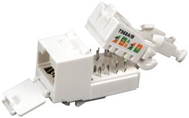 10 Moduli Dati Kauden CAT6 RJ45 25x50 Mm Bianchi Per Piastre Universali + Strumento
