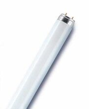 Osram Decostar ampoule halogène réflecteur GU4 35W blanc 2 pièces