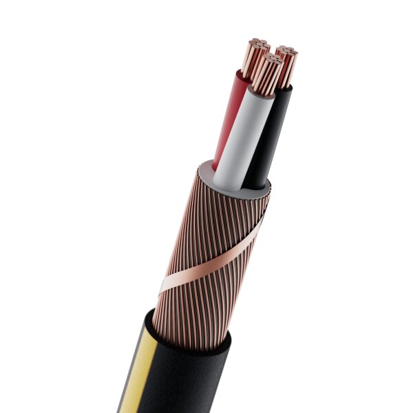 Sonepar Suisse - Câble Ceander GKN+ 3×6/6 L+PEN Fca